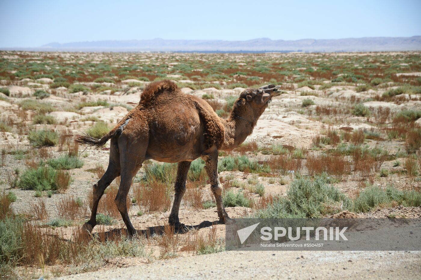 Countries of the world. Tunisia