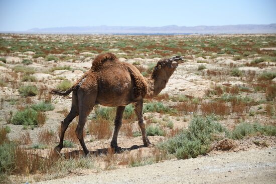 Countries of the world. Tunisia