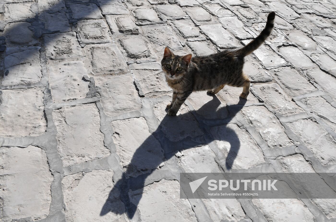 Countries of the world. Tunisia