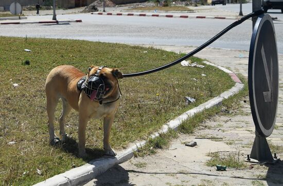 Countries of the world. Tunisia