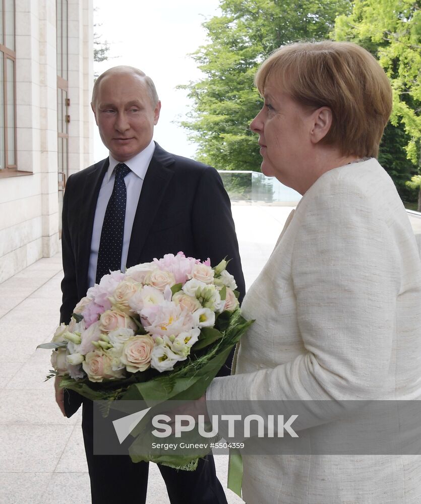 President Vladimir Putin meets with German Chancellor Angela Merkel