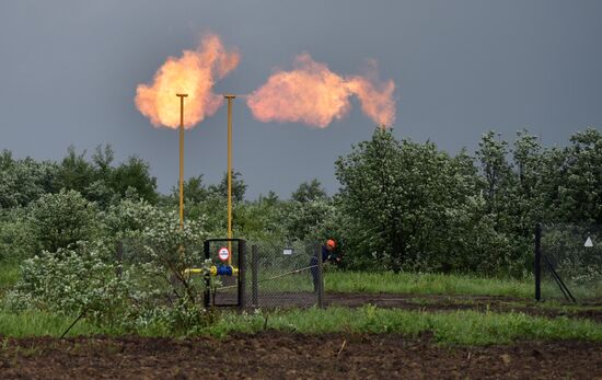 Mountain natural gas field opens in Lvov Region