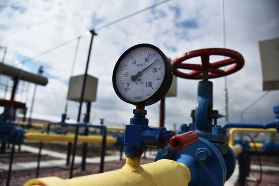Mountain natural gas field opens in Lvov Region
