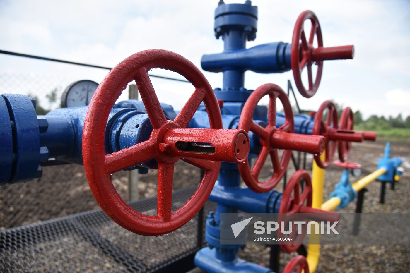 Mountain natural gas field opens in Lvov Region