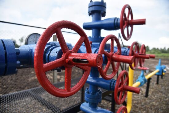 Mountain natural gas field opens in Lvov Region