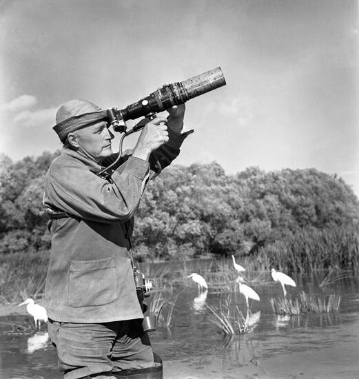 Astrakhan nature reserve