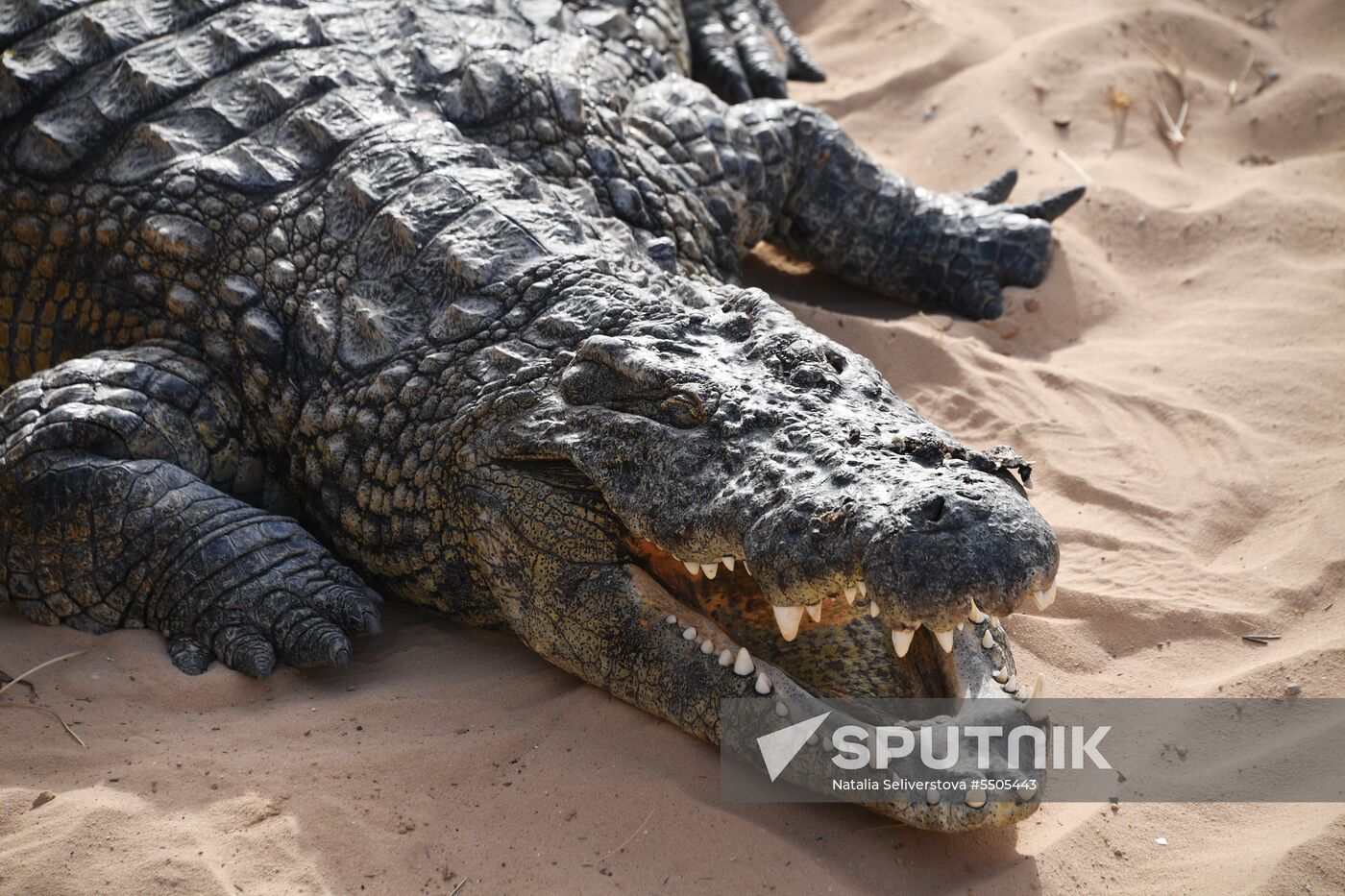 Countries of the world. Tunisia