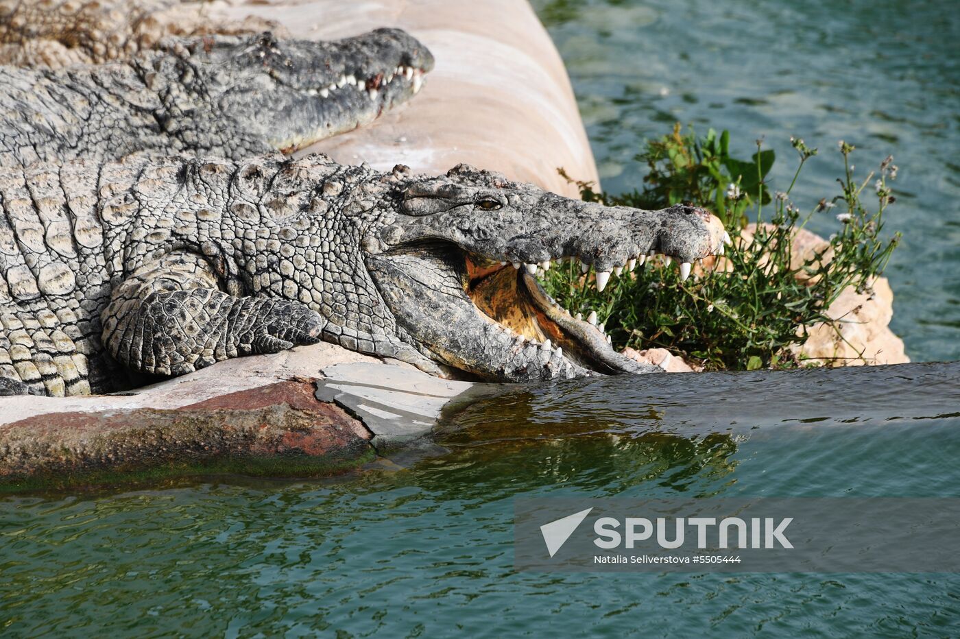 Countries of the world. Tunisia