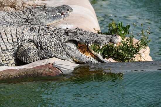 Countries of the world. Tunisia