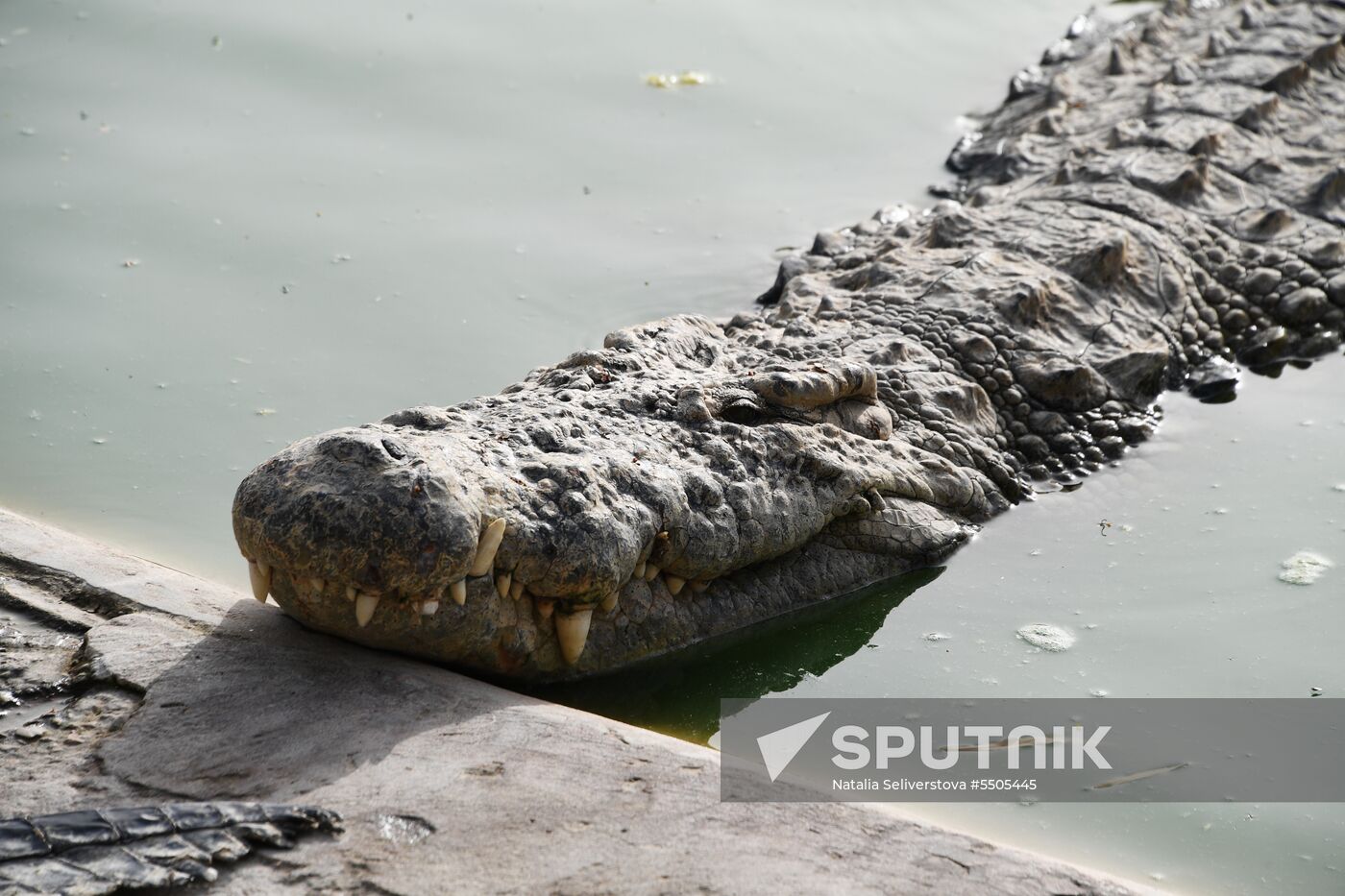 Countries of the world. Tunisia