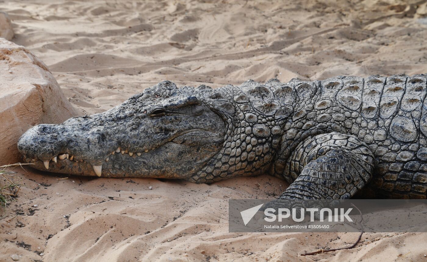 Countries of the world. Tunisia