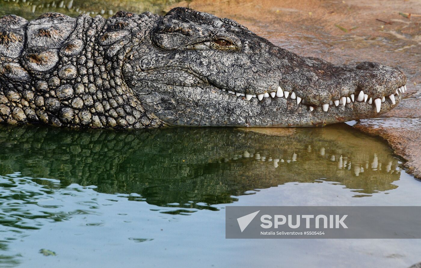 Countries of the world. Tunisia