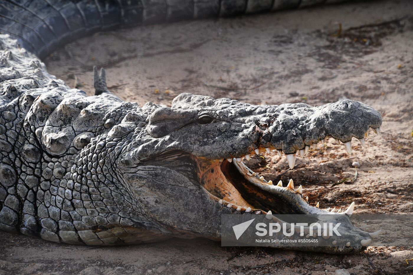 Countries of the world. Tunisia