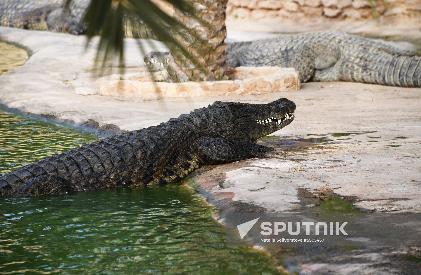 Countries of the world. Tunisia