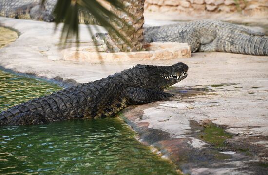 Countries of the world. Tunisia