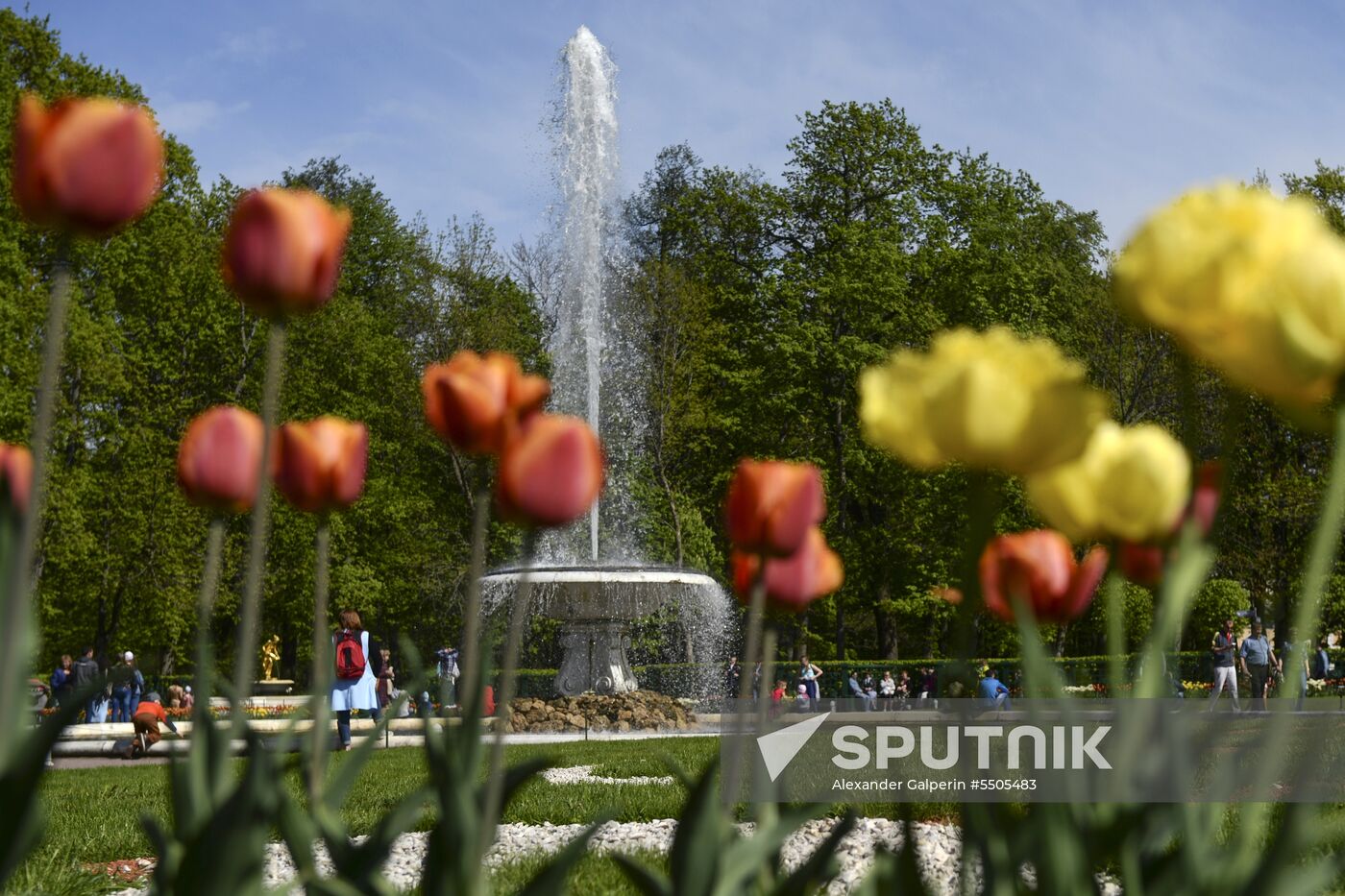 Spring festival of fountains in St. Petersburg