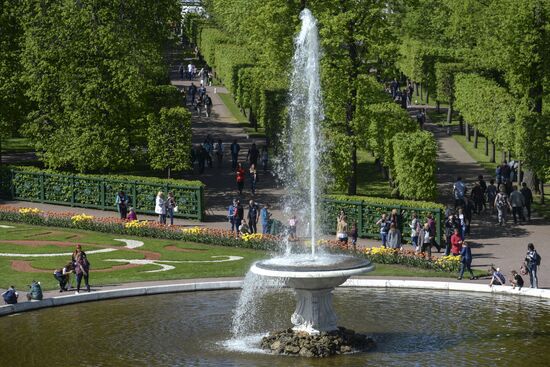 Spring festival of fountains in St. Petersburg