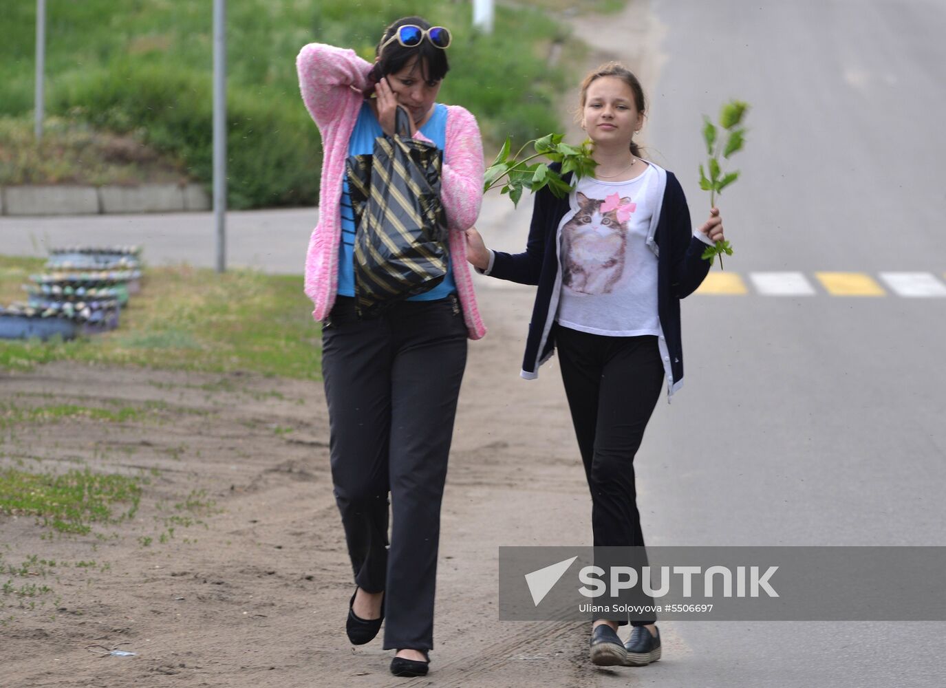 Mosquito invasion in Voronezh Region