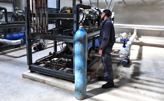 Beer factory outside Damascus
