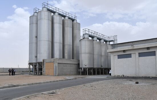 Beer factory outside Damascus