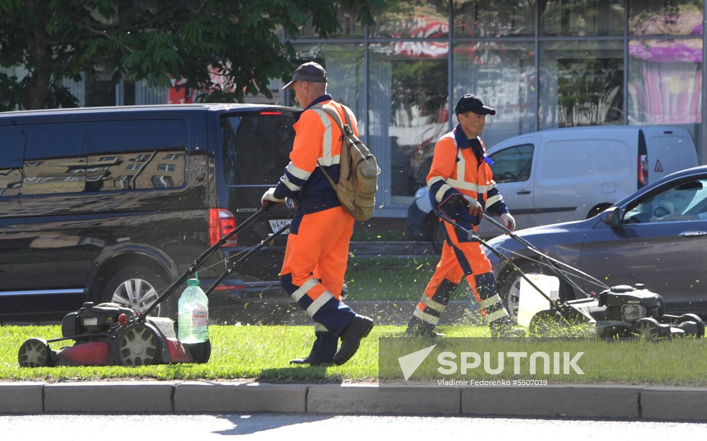 Lawn mowing in Moscow