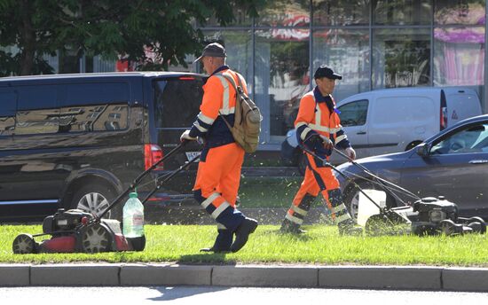 Lawn mowing in Moscow
