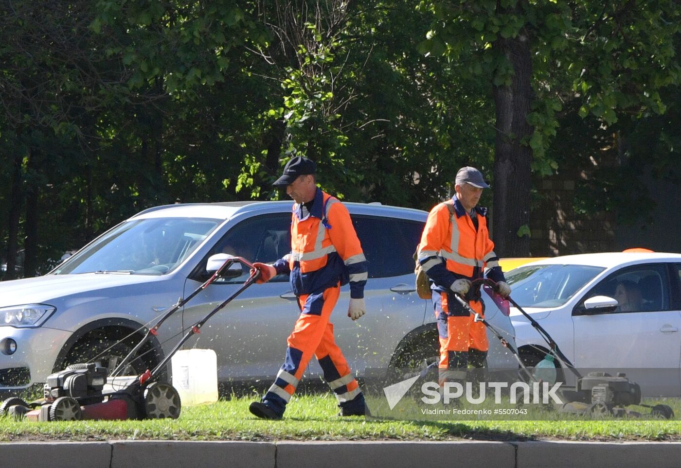 Lawn mowing in Moscow