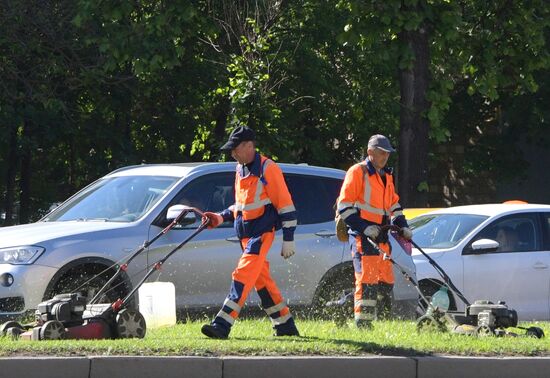 Lawn mowing in Moscow