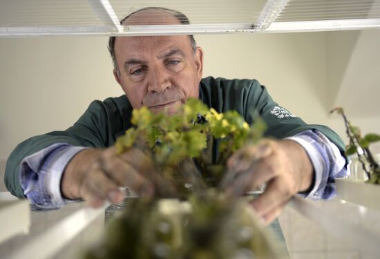 Vavilov Research Institute of Plant Industry in St. Petersburg