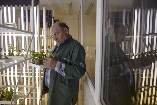 Vavilov Research Institute of Plant Industry in St. Petersburg