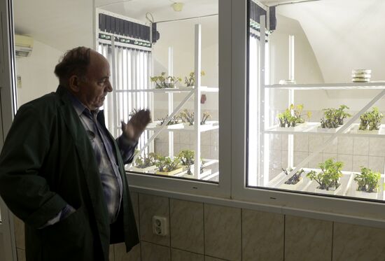 Vavilov Research Institute of Plant Industry in St. Petersburg