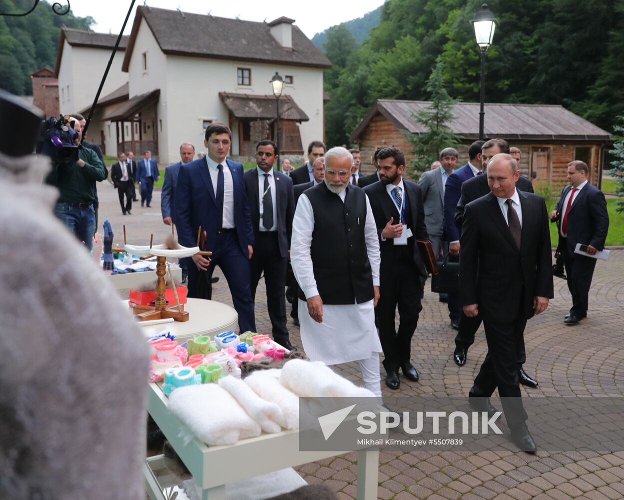 President Vladimir Putin meets with Indian Prime Minister Narendra Modi