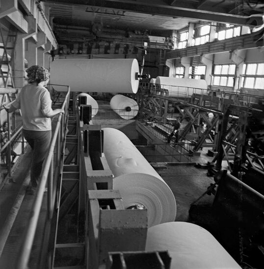 Amur Pulp and Paper Mill