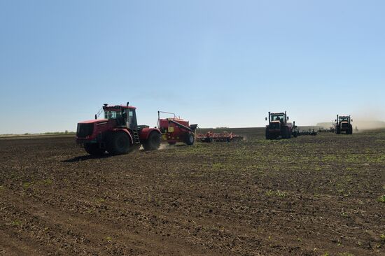 Spring sowing in Chelyabinsk Region