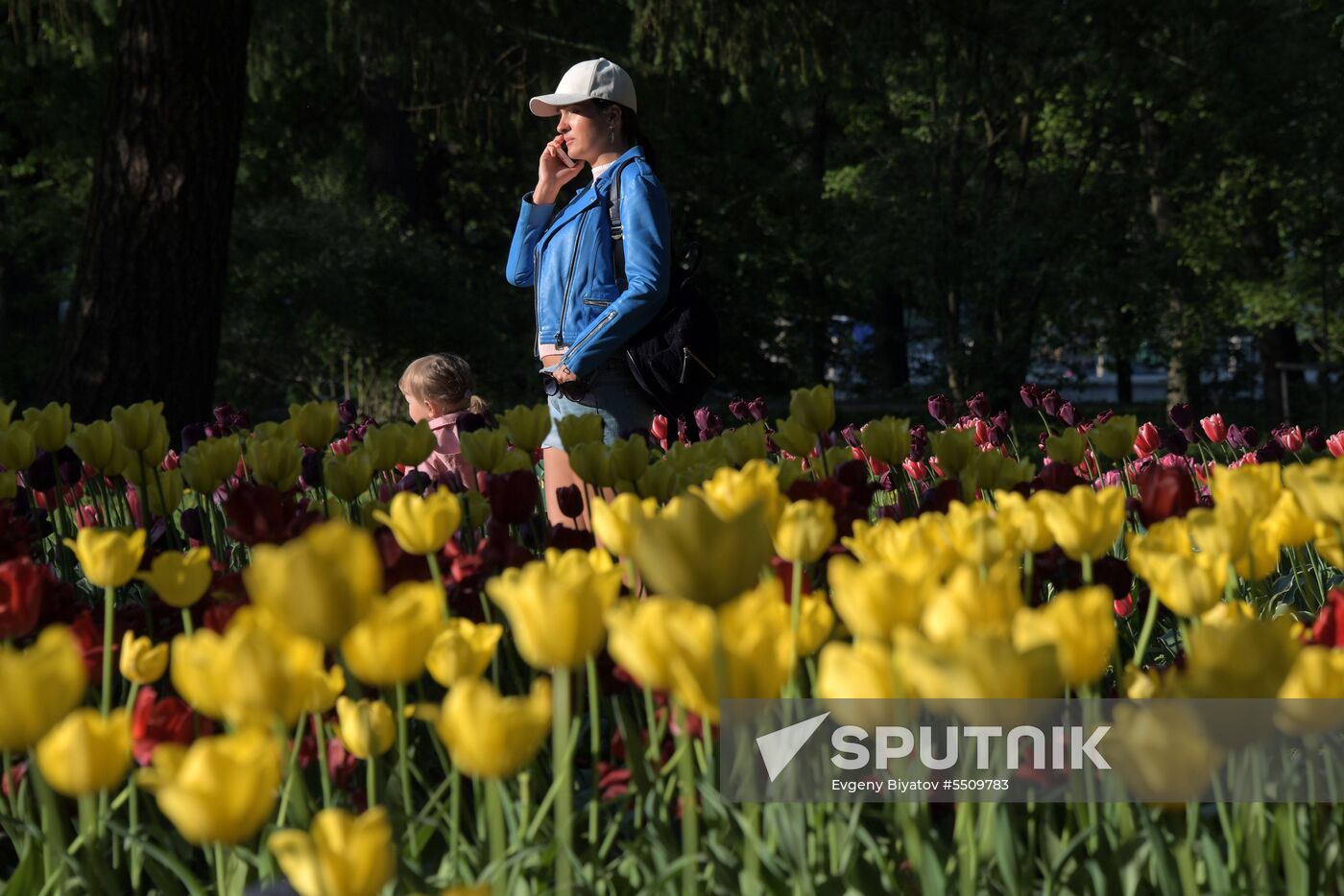 Tulip Festival in St. Petersburg