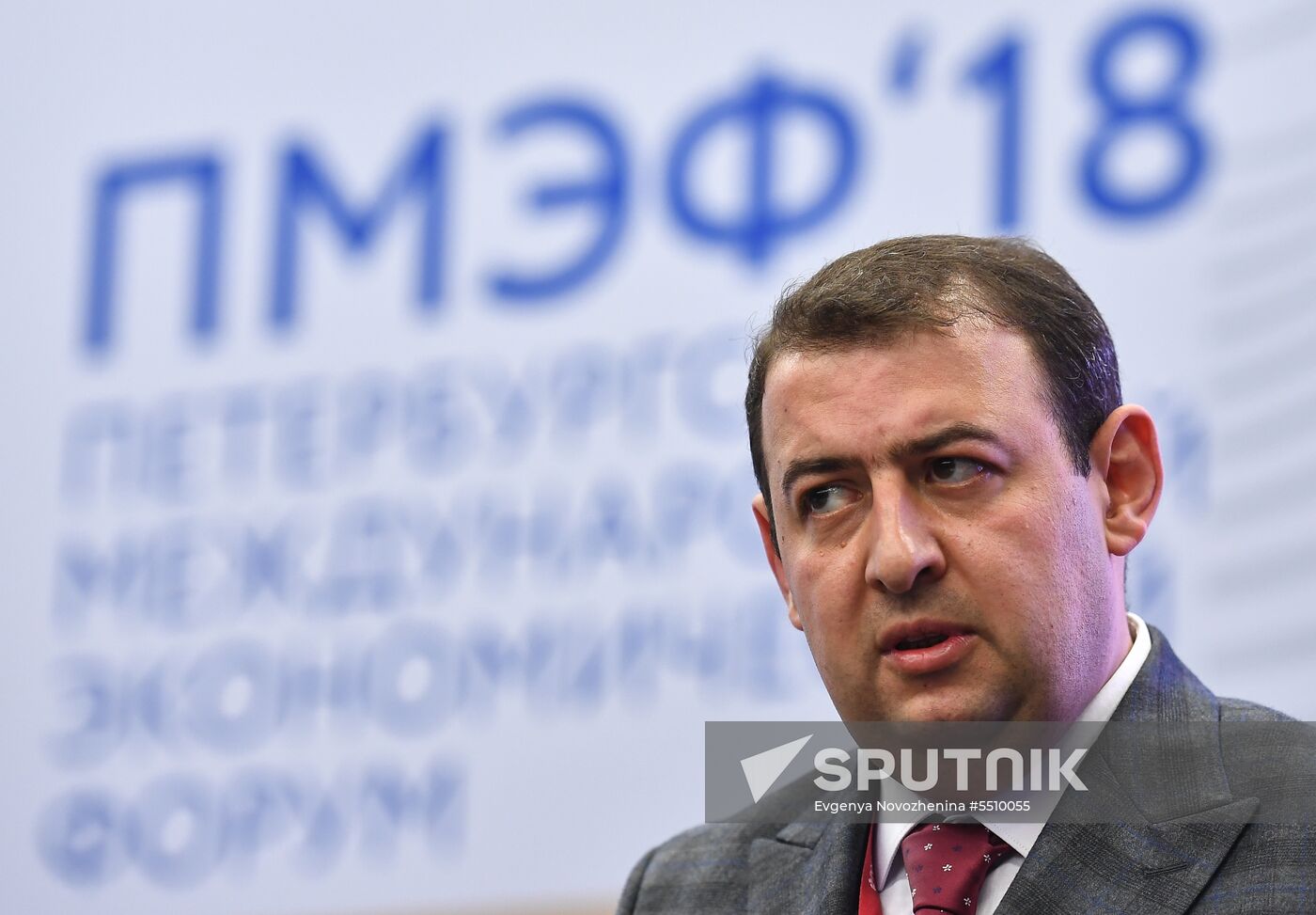 St. Petersburg International Economic Forum. Day One