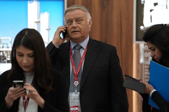 St. Petersburg International Economic Forum. Day two
