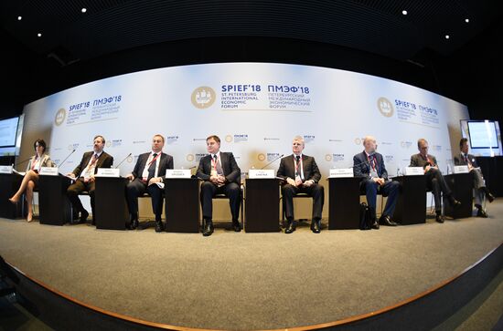 St. Petersburg International Economic Forum. Day two