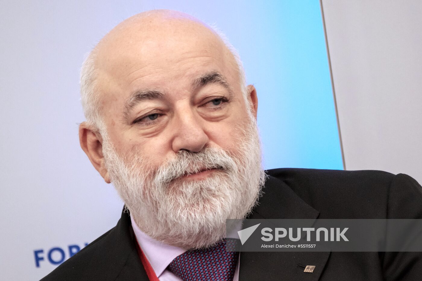 St. Petersburg International Economic Forum. Day two