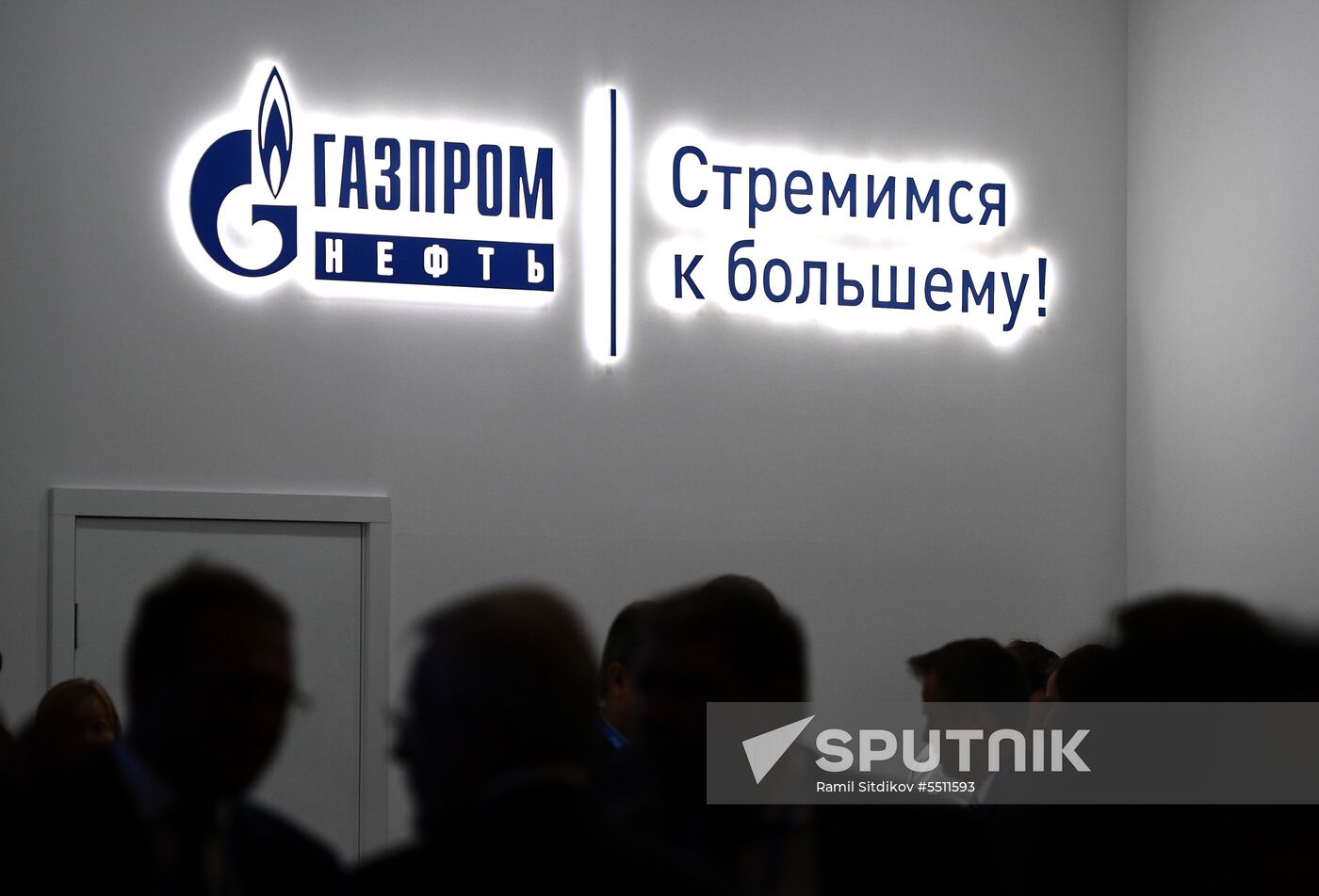 St. Petersburg International Economic Forum. Day two