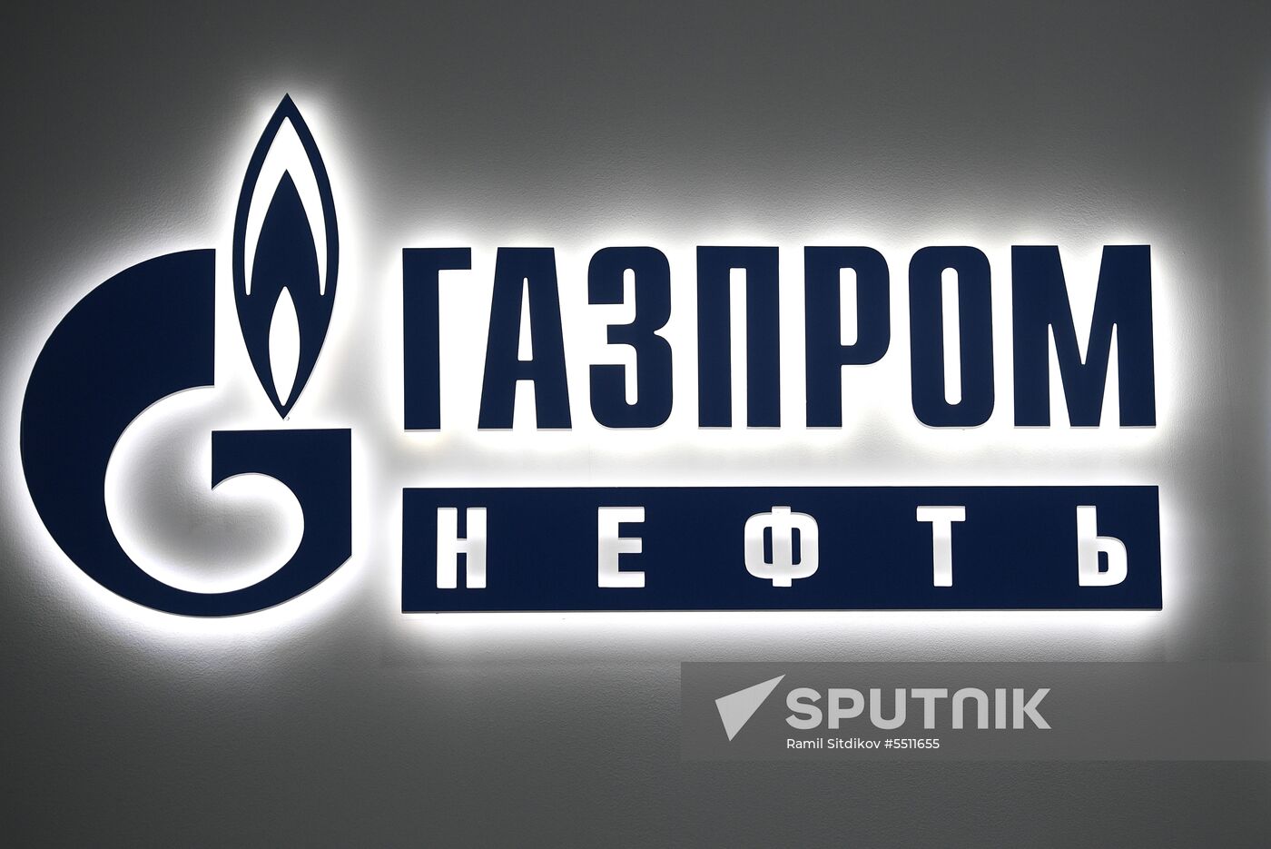 St. Petersburg International Economic Forum. Day two