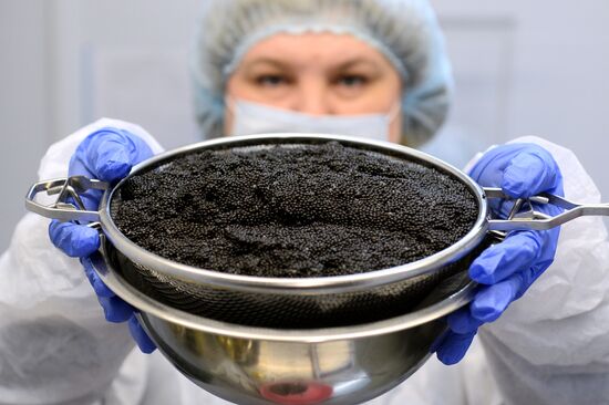 Belorussian caviar