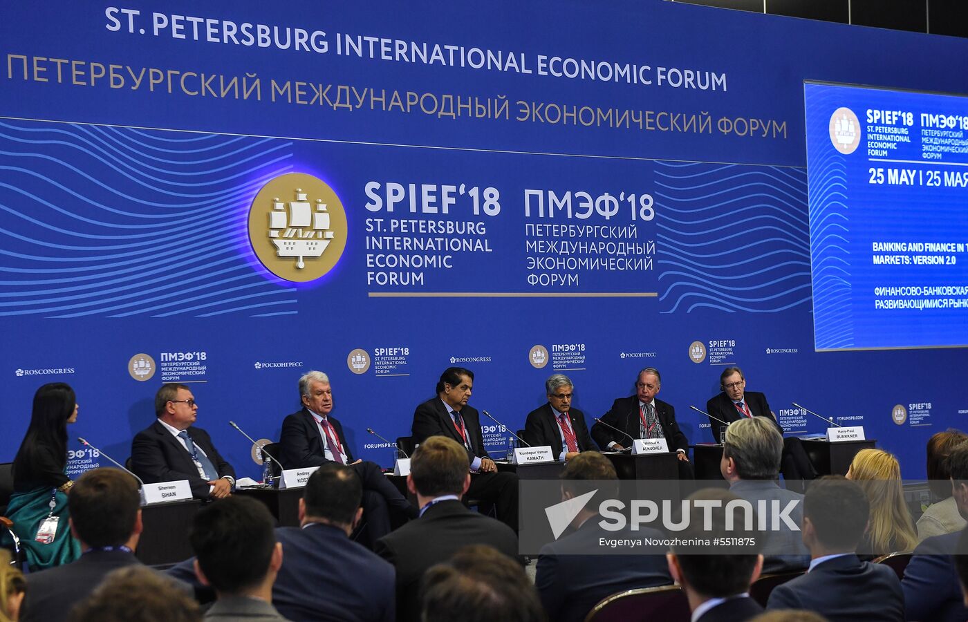 St. Petersburg International Economic Forum. Day two