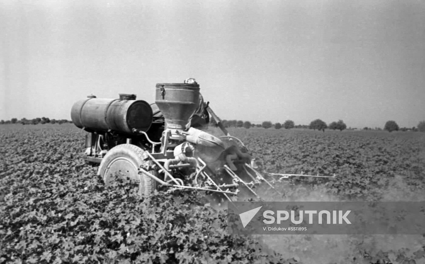 Chemical treatment of plants by cotton-growing tractor