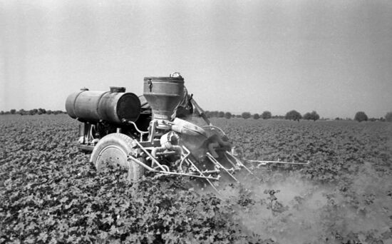 Chemical treatment of plants by cotton-growing tractor