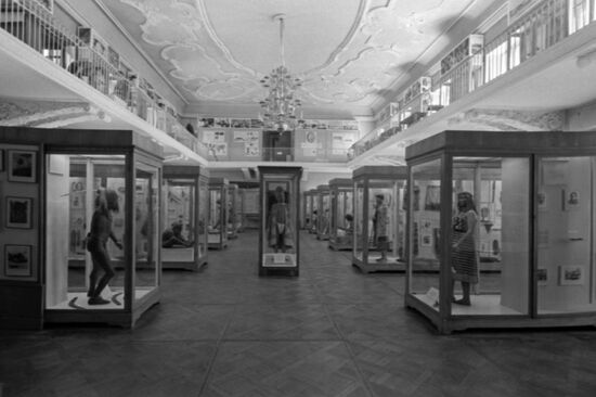 Peter the Great Museum of Anthropology and Ethnography