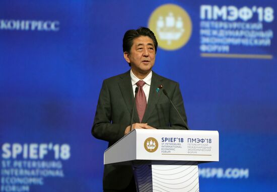 St. Petersburg International Economic Forum. Day two