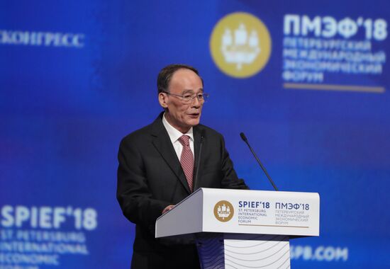 St. Petersburg International Economic Forum. Day two