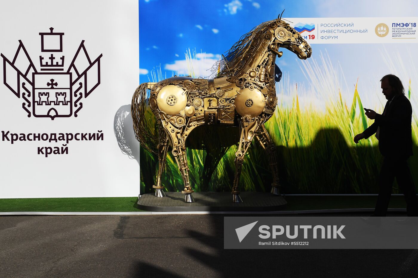 St. Petersburg International Economic Forum. Day two