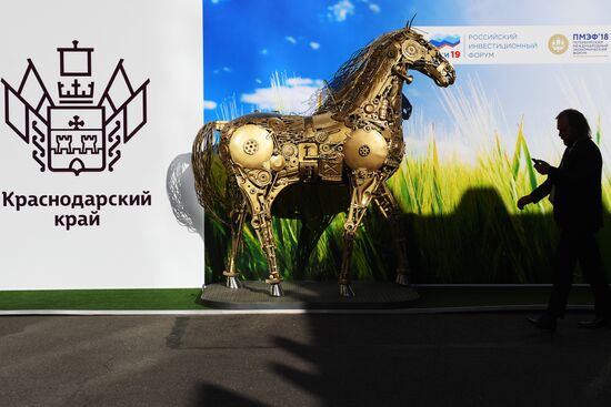 St. Petersburg International Economic Forum. Day two